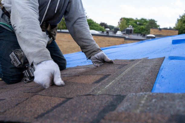 Best Residential Roofing Contractor  in Bridgewater, VA