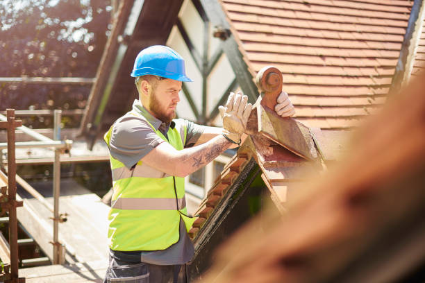 Best Metal Roofing Contractor  in Bridgewater, VA