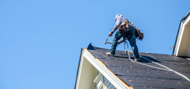 Best Flat Roof Repair Services  in Bridgewater, VA